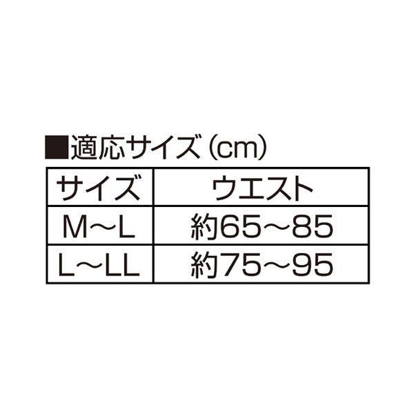 アルファックス 202806 お医者さんのがっちり背すじベルト M−L |  | 06