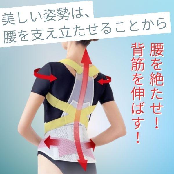 在庫 アルファックス  203209 お医者さんの腰から正す姿勢ベルトM−L あすつく対応 |  | 02