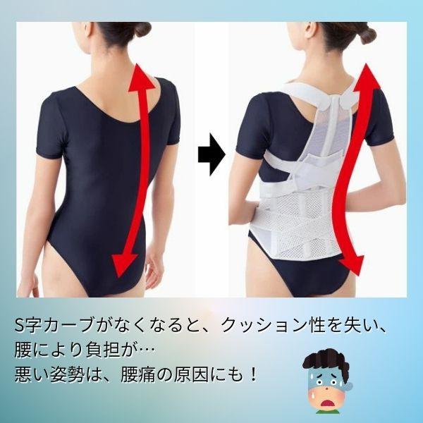 在庫 アルファックス  203209 お医者さんの腰から正す姿勢ベルトM−L あすつく対応 |  | 03