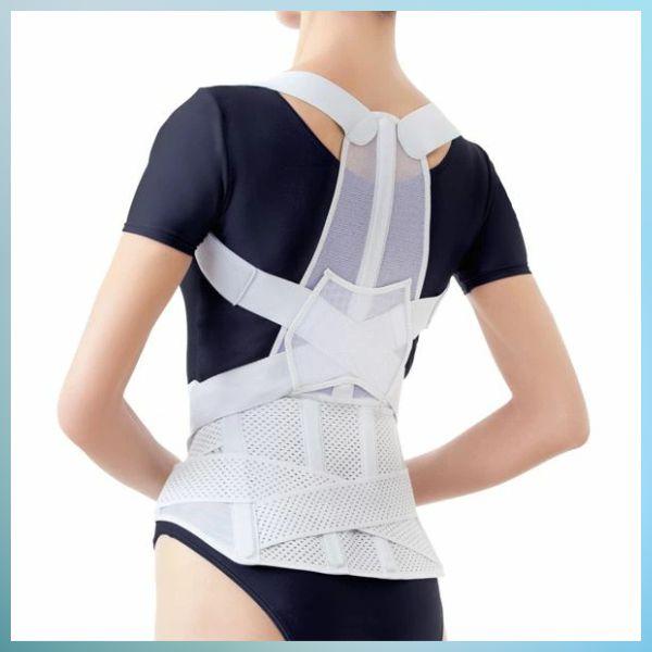 アルファックス 203216 お医者さんの腰から正す姿勢ベルトL−LL |  | 06