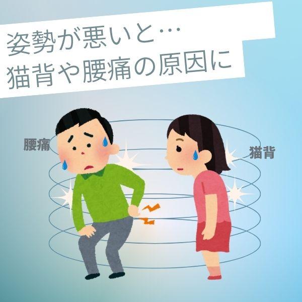 在庫 アルファックス 203223 お医者さんの腰から正す姿勢ベルトLL−3L あすつく対応 |  | 01