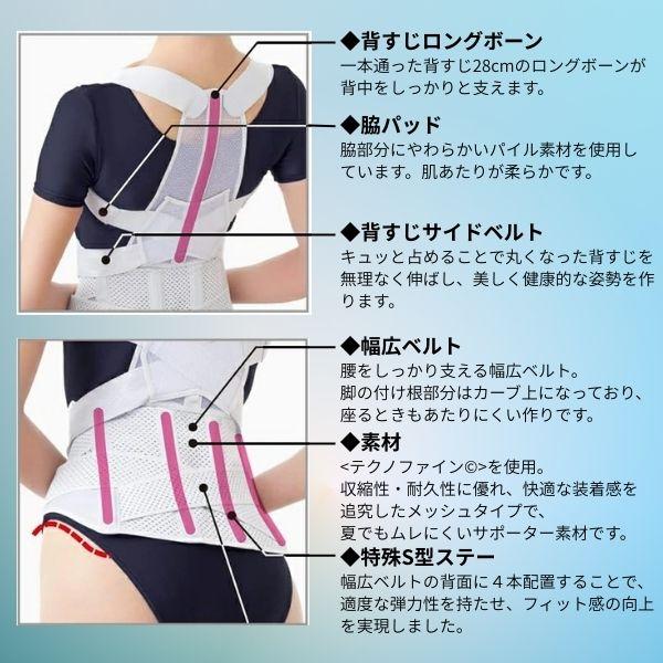 在庫 アルファックス 203223 お医者さんの腰から正す姿勢ベルトLL−3L あすつく対応 |  | 04