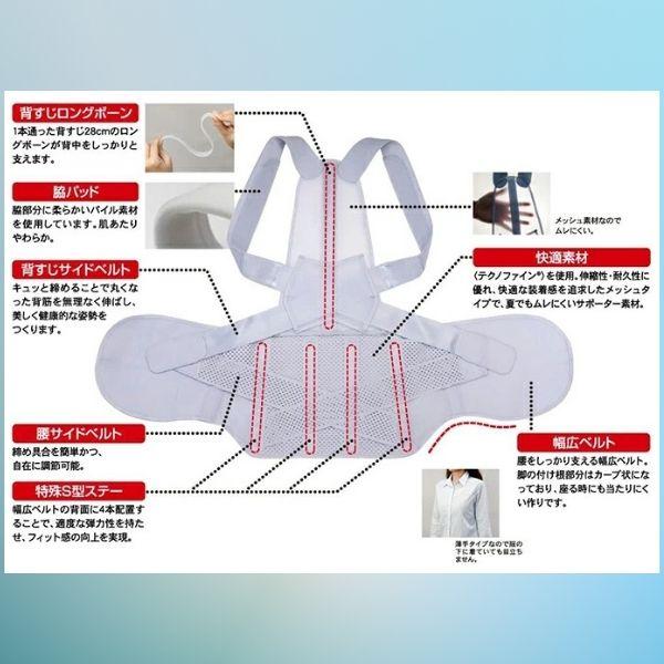 在庫 アルファックス 203223 お医者さんの腰から正す姿勢ベルトLL−3L あすつく対応 |  | 05