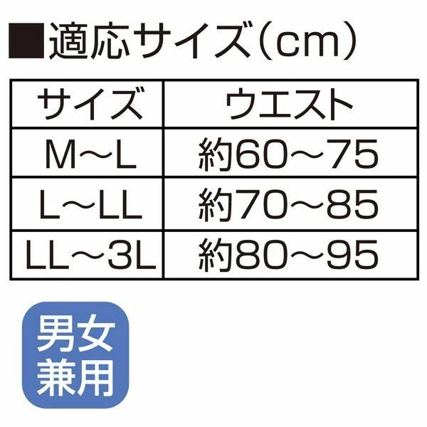 在庫 アルファックス 203223 お医者さんの腰から正す姿勢ベルトLL−3L あすつく対応 |  | 09
