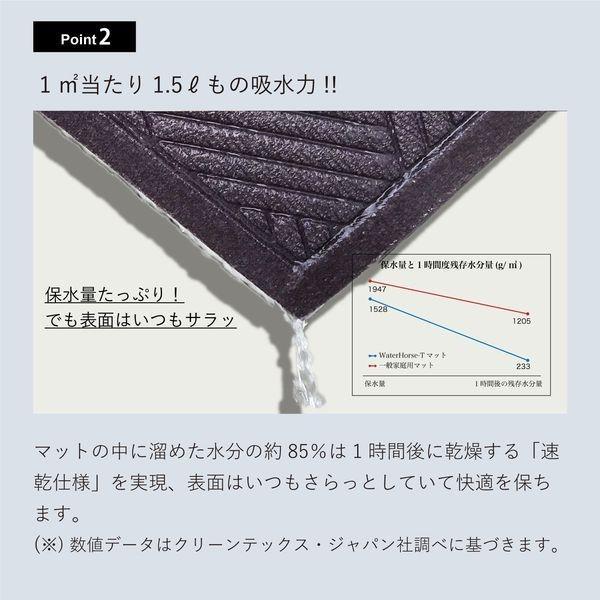 クリーンテックスジャパン AC00028 ウォーターホース II 【ワッフル】 ダーク・グレー 44×74cm |  | 04