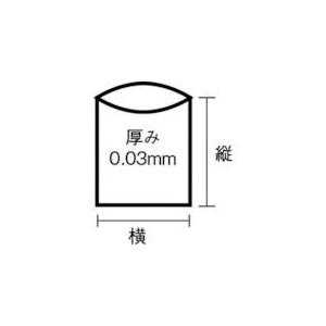 あすつく対応 「直送」 4902393274807 Ｎ−２３Ｎシリーズ２０Ｌ 透明 １０枚 N-23Nシリーズ20L N-23-CL｜ideca｜03