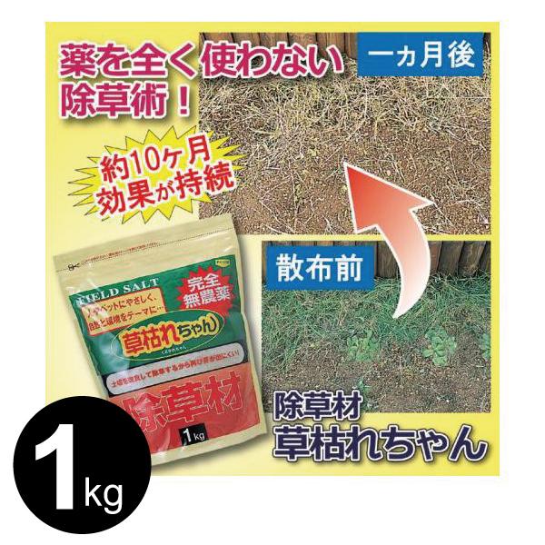 在庫 4936980520688 除草剤「草枯れちゃん」1 27107【キャンセル不可】 877364 1kg 後藤 あすつく対応 |  | 01