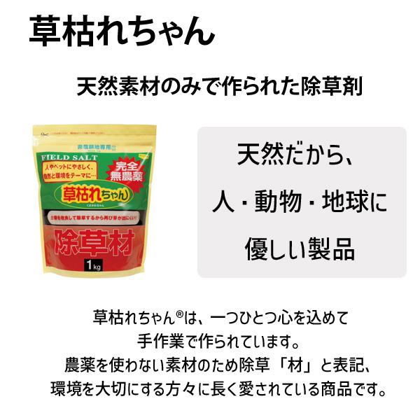 在庫 4936980520688 除草剤「草枯れちゃん」1 27107【キャンセル不可】 877364 1kg 後藤 あすつく対応 |  | 02