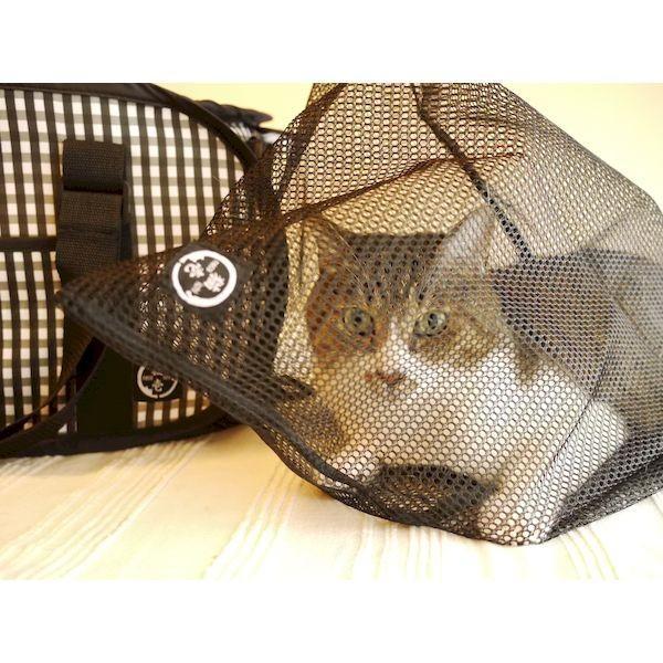 猫壱 4580471860670 おちつくネット |  | 02