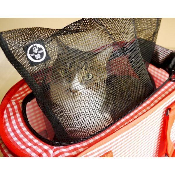 猫壱 4580471860670 おちつくネット |  | 03