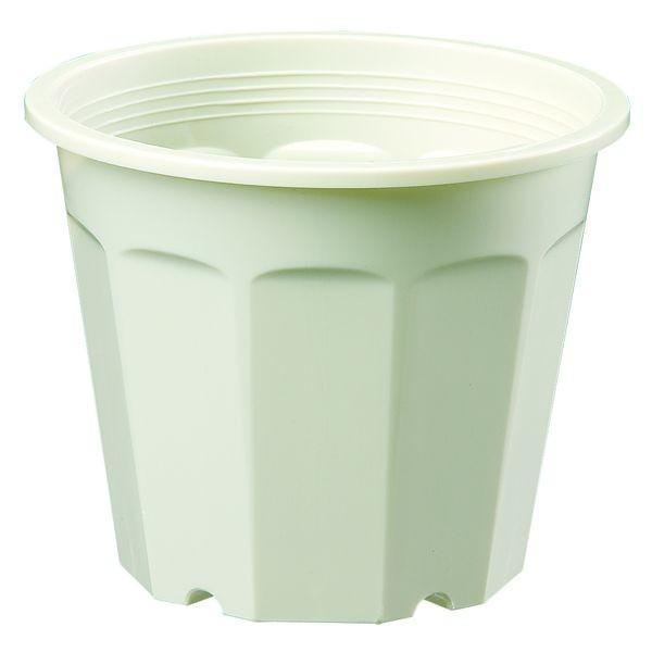 大和プラスチック 4903266300517 花鉢 5号 C | 