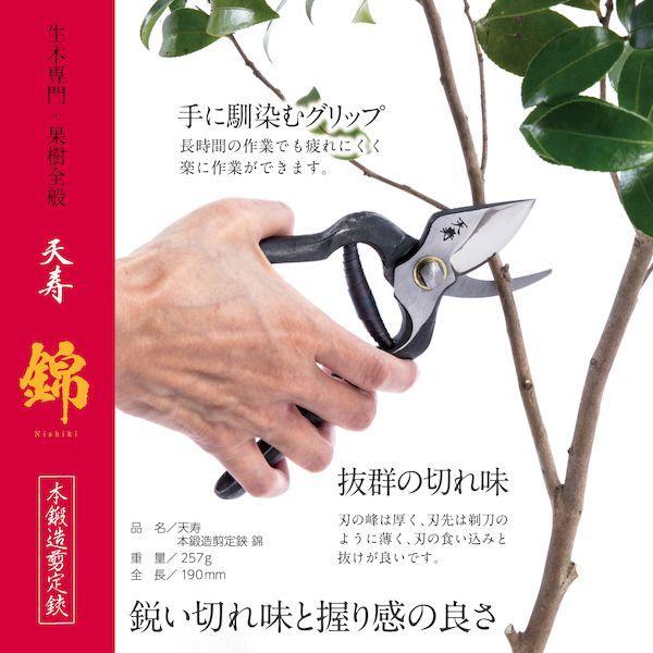 天寿刃物本舗 53001 剪定鋏 錦 |  | 08