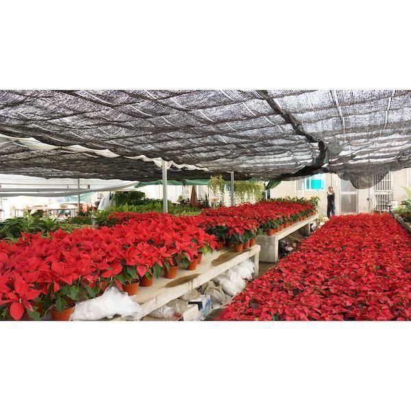 ＴＲＵＳＣＯ TSN80-250 直送 代引不可・他メーカー同梱不可 遮光ネットロール遮光率６５％ ２ｘ５０Ｍ TSN80250 tr-1610174 |  | 01