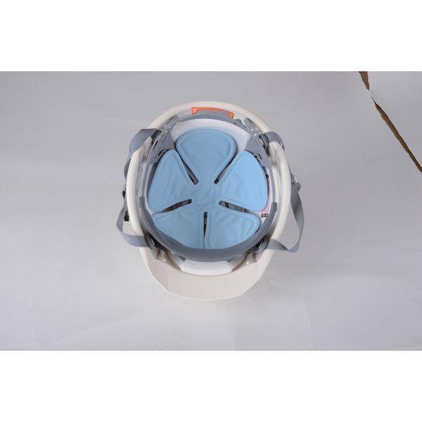 あすつく対応 「直送」 ＴＲＵＳＣＯ TUHC-B 頭ひんやりヘッドクール TUHCB tr-1153078 |  | 01