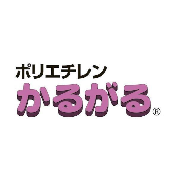 4994808020567 ハセガワ PEかるがる俎板標準SD25−6035ホワイト KND-135204 600x350x25_4