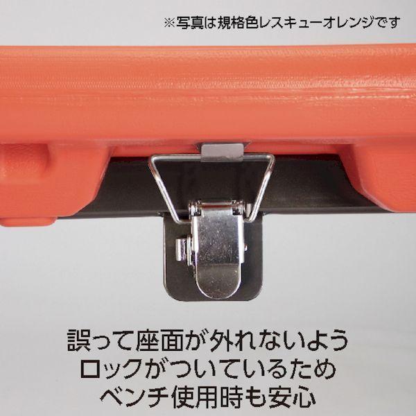 テラモト BC-309-118-3 直送 代引不可・他メーカー同梱不可 レスキューボードベンチ ブルー BC3091183 tr-1027375 |  | 02