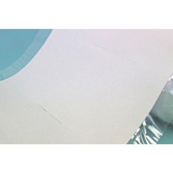 日東エルマテ MDL-5 さつま芋苗生育保護シート めーでるシート ２６０ｍｍ×１００ｍ 白 MDL5 |  | 01