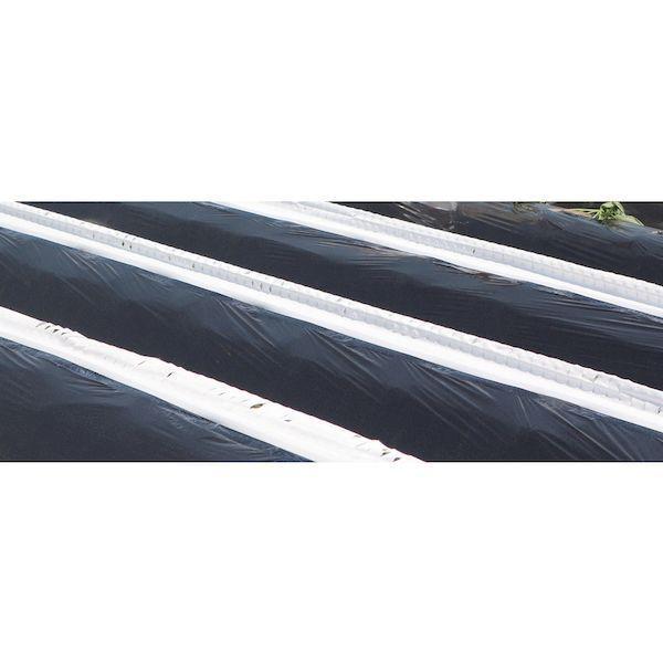 日東エルマテ MDL-5 さつま芋苗生育保護シート めーでるシート ２６０ｍｍ×１００ｍ 白 MDL5 |  | 02