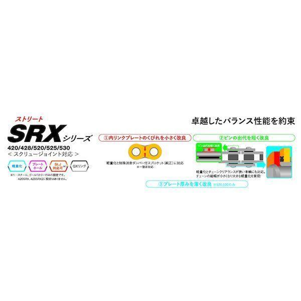 江沼チェーン 4571291794399 EK チェーン 420SR−X BK／BK 102L SKJ |  | 02