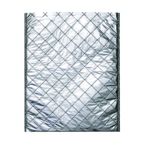 エーワン LC0622AA50 保冷平袋　中 | 