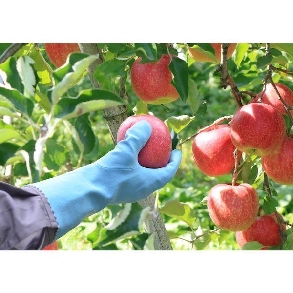 あすつく対応 「直送」 エステー ST76059 Ｎｏ．６０３ニトリルソフトＬ |  | 02