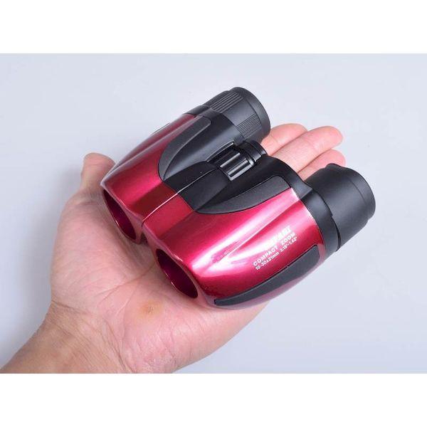 ＳＩＧＨＴＲＯＮ SA10-30X21WR ＳＡＦＡＲＩ１０−３０Ｘ２１　ワインレッド SA1030X21WR |  | 01