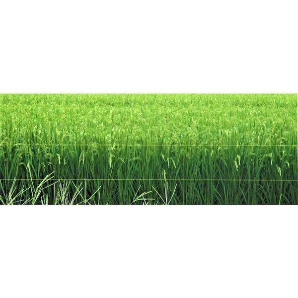 あすつく対応 「直送」 ＴＲＵＳＣＯ BP500Y 防鳥用光る糸 イエロー 線径０．４４ｍｍｘ５００ｍ 忌避用品 園芸用品 防獣用品 207-1953 |  | 03