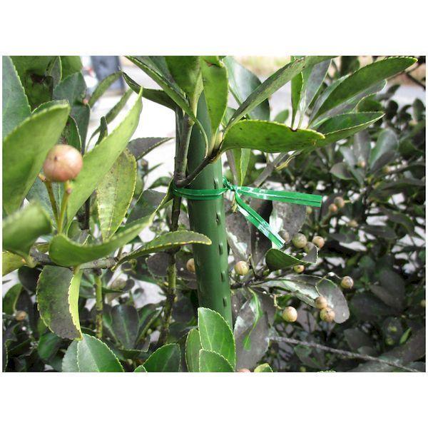 あすつく対応 「直送」 ＴＲＵＳＣＯ GVT100-100 園芸用ビニールタイ　幅４ｍｍ×長さ１００ｍｍ　緑 １００本入 GVT100100 |  | 02