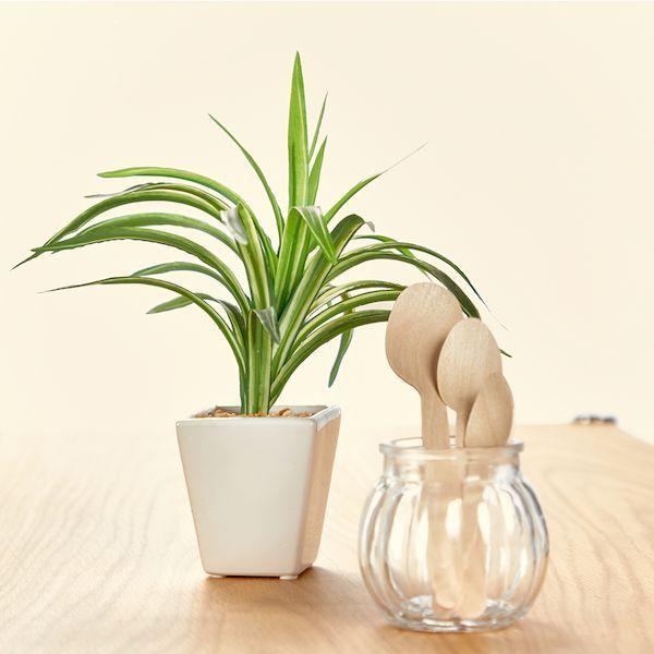 あすつく対応 「直送」 ＴＲＵＳＣＯ WSP-162 木製スプーン 全長１６２ｍｍ １００本入 WSP162 tr-1612560 | ブランド登録なし | 04