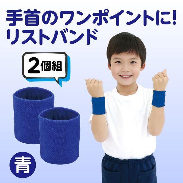 アーテック ArTec 002950 ダンスリストバンド青 |  | 01