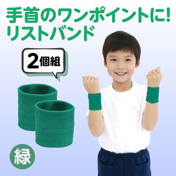 アーテック ArTec 002952 ダンスリストバンド緑 |  | 01