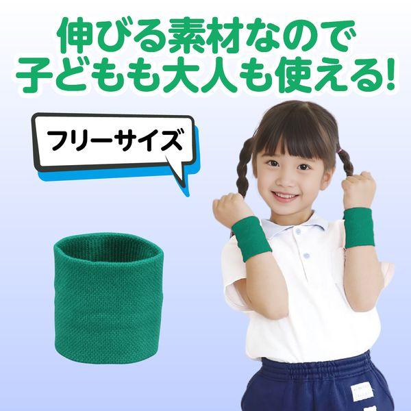 アーテック ArTec 002952 ダンスリストバンド緑 |  | 03