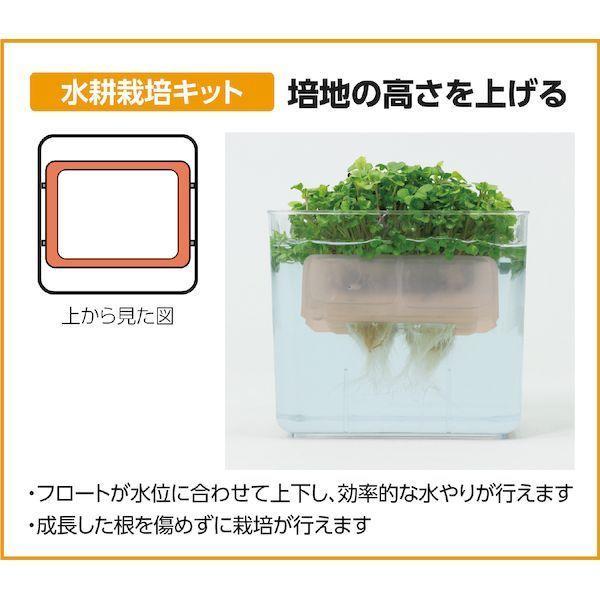 アーテック ArTec 102966 水耕栽培ユニット ベビーリーフミックス |  | 04