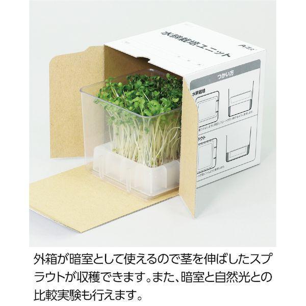 アーテック ArTec 102970 水耕栽培ユニット カイワレダイコン |  | 02