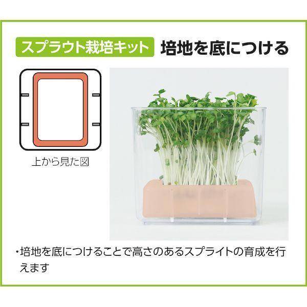 アーテック ArTec 102970 水耕栽培ユニット カイワレダイコン |  | 04