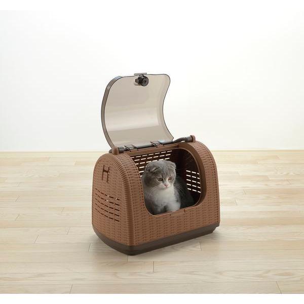 リッチェル 4945680566629 ラタンキャリー ブラウン |  | 01