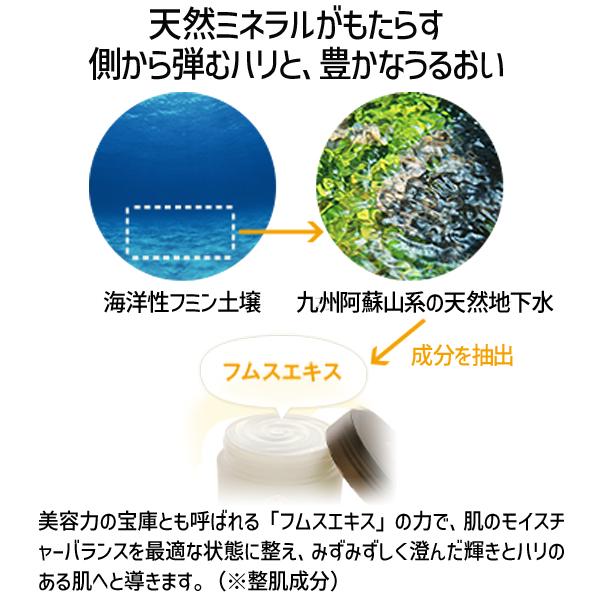 在庫 4943995014644 EBM ESスキンクリームS 100g スキンケア フェイスクリーム ボディクリーム　1464 90485【キャンセ あすつく対応 |  | 01