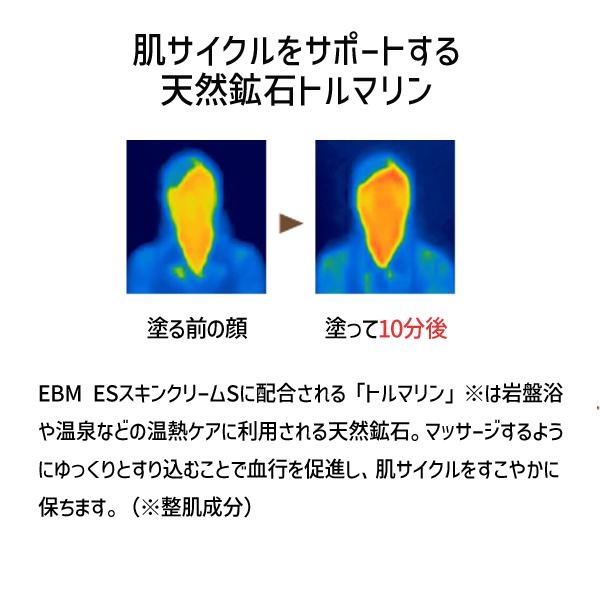 在庫 4943995014644 EBM ESスキンクリームS 100g スキンケア フェイスクリーム ボディクリーム　1464 90485【キャンセ あすつく対応 |  | 02