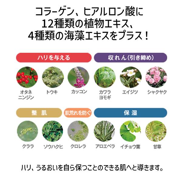 在庫 4943995014644 EBM ESスキンクリームS 100g スキンケア フェイスクリーム ボディクリーム　1464 90485【キャンセ あすつく対応 |  | 03