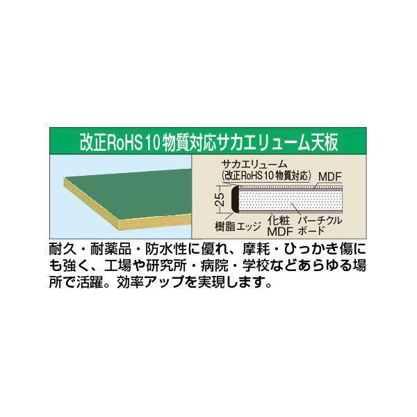 【個人宅配送不可】サカエ SAKAE KTG-503FENI 直送 代引不可 中量立作業台KTGタイプ 改正RoHS 10物質対応／均等耐荷重700kg／H900／立作業用 KTG503FENI