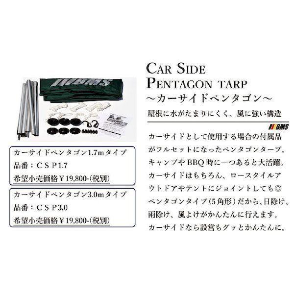 【個数：1個】CSP-1.7 直送 代引不可 ダイキ カーサイドペンタゴン1．7mタイプ CSP1.7 |  | 01