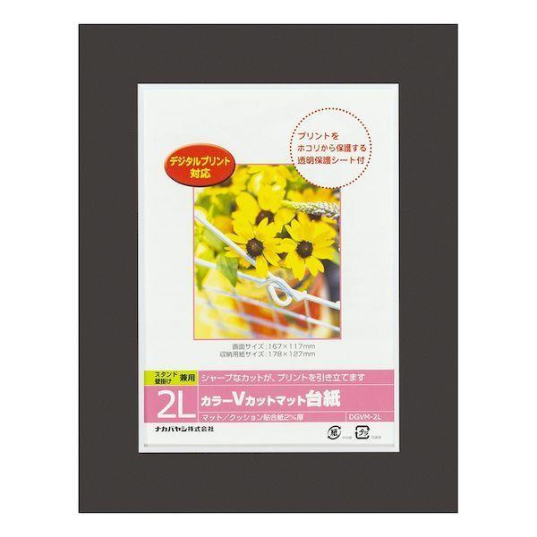 ナカバヤシ DGVM-2L-D/V カラーVカット台紙2L判／ブラック／V DGVM2LD/V | 