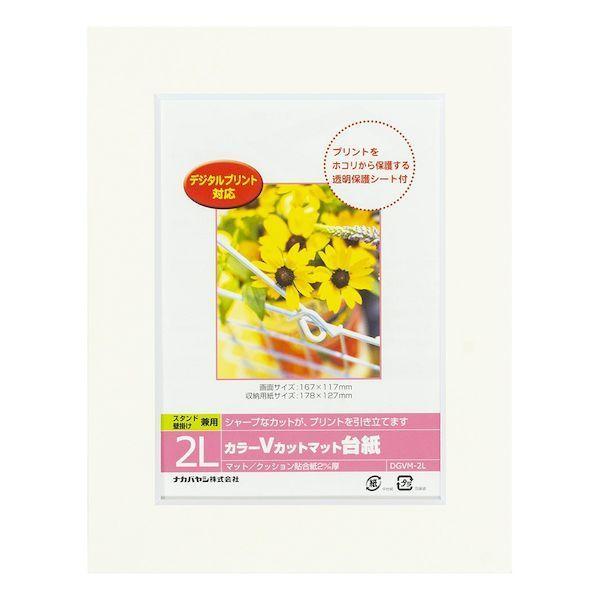 ナカバヤシ DGVM-2L-W/V カラーVカット台紙2L判／ホワイト DGVM2LW/V | 