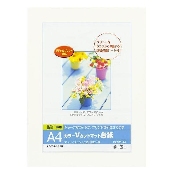 ナカバヤシ DGVM-A4-W/V カラーVカット台紙A4判／ホワイト DGVMA4W/V | 