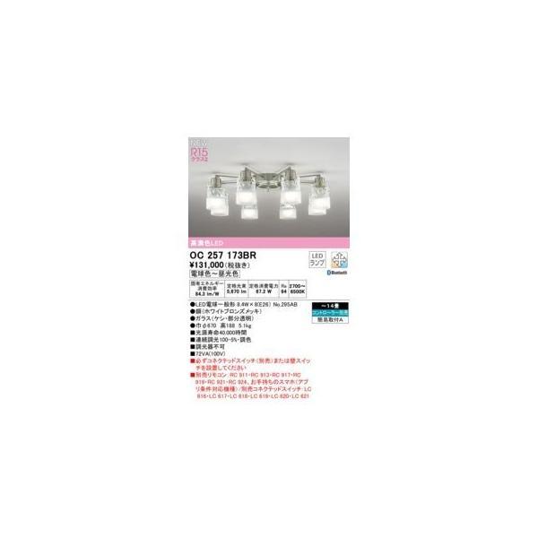 オーデリック ODELIC OC257173BR ランプ別梱包 | 