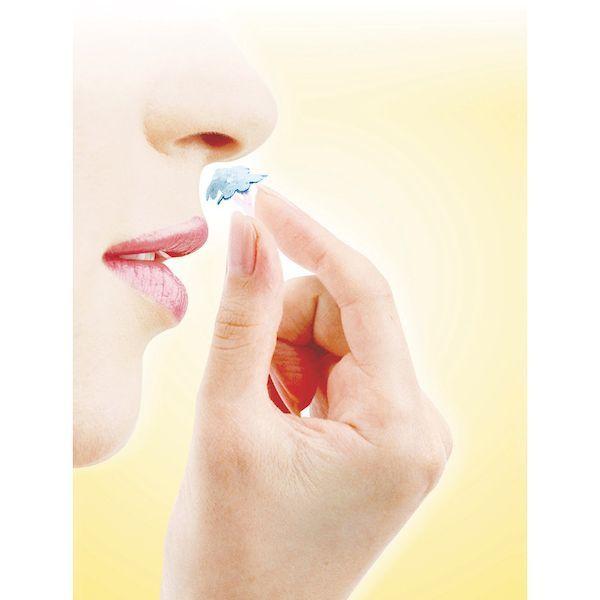 あすつく対応 「直送」 ユタカメイク MSN-R マスクシェル鼻挿入型　レギュラーサイズ３個入 MSNR |  | 01