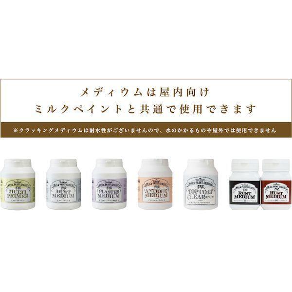 ターナー色彩 MKG20315 ミルクペイントForガーデン MKG 315＿ミルクティーグレージュ 200ML |  | 07