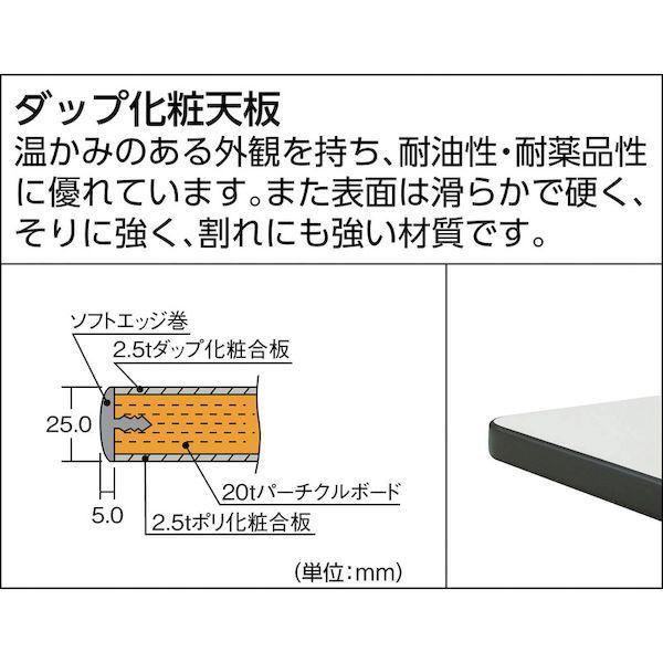 【個人宅配送不可】トラスコ TRUSCO HAEWP-0960F2 直送 代引不可 HAEWP型立作業台 900X600XH885 2段引出付 HAEWP096 |  | 02