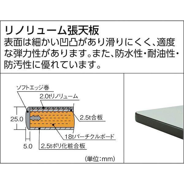 【個人宅配送不可】トラスコ TRUSCO HAEWR-0960UDK1 直送 代引不可 HAEWR型立作業台 900X600XH885 薄型1段引出付 HAEW |  | 02