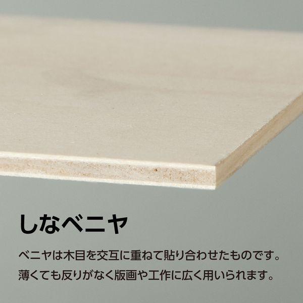 アーテック ArTec 046732 ベニヤ 370x120x6mm |  | 03